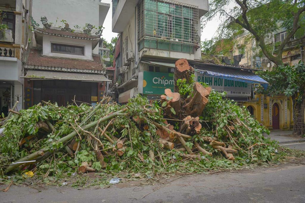 Opgestapelde takken en boomstammen na het opruimen van stormschade in een Vietnamese stad