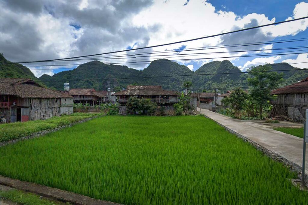 Rijstveld in Quynh Son dorp in Bac Son Valley met traditionele huizen en kalkstenen bergen op de achtergrond