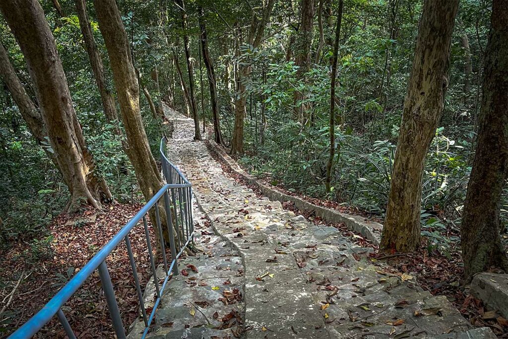 Stenen wandelpad met leuning door het bos richting So Ray Viewpoint in Con Dao National Park tijdens een trekking