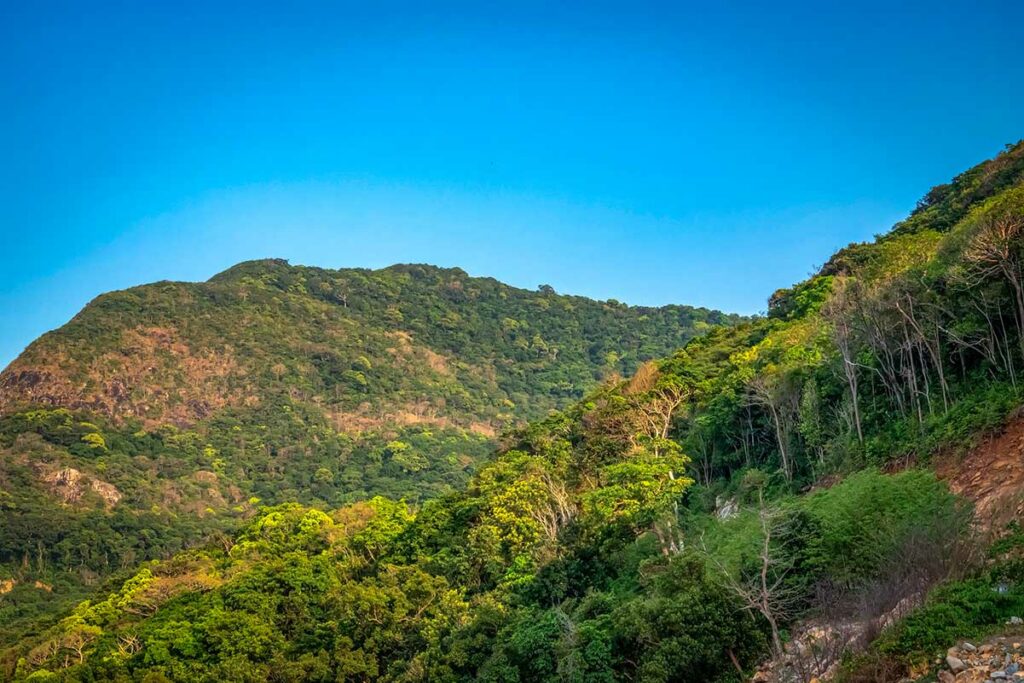 Groene heuvels en dicht regenwoud in Con Dao National Park met uitzicht over het bergachtige landschap