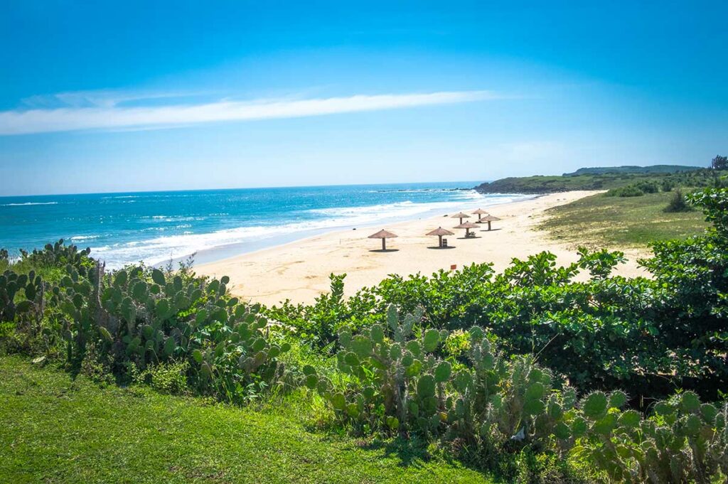 Rustig strand van Bai Xep in Phu Yen gezien vanaf een heuvel, met cactusplanten op de voorgrond, een turquoise zee en enkele rieten parasols op het witte zand — een kleinschalig en nauwelijks toeristisch strand