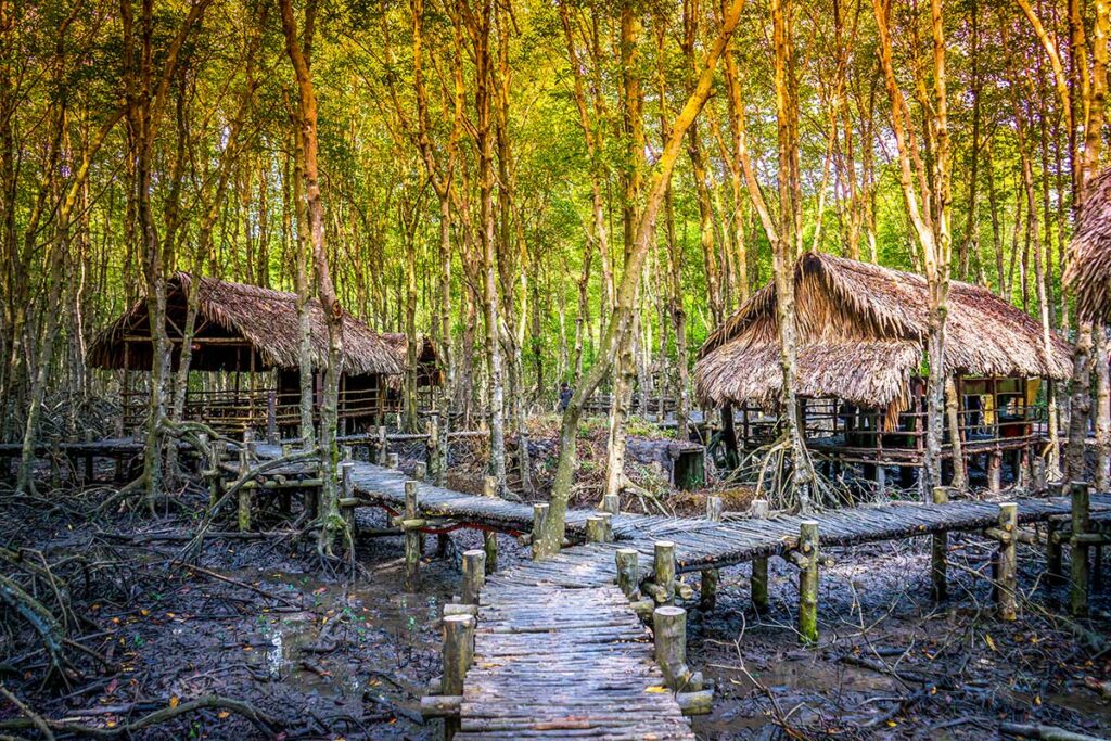 Reconstructie van een guerrillakamp in het Sac bos van het Can Gio reservaat, met houten loopbruggen, rieten hutten op palen boven het modderige mangrovebos en een gouden gloed over de boomkruinen — het kamp toont hoe Vietcong-strijders zich schuil hielden in het ondoordringbare mangrovebos