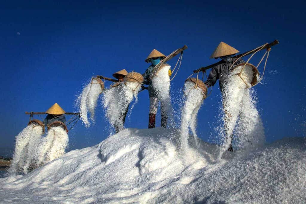 Zoutarbeiders met traditionele Vietnamese hoeden gooien vers geoogst zout van draagmanden op een grote witte zoutstapel bij de zoutvelden van Hon Khoi, vlakbij Doc Let Beach