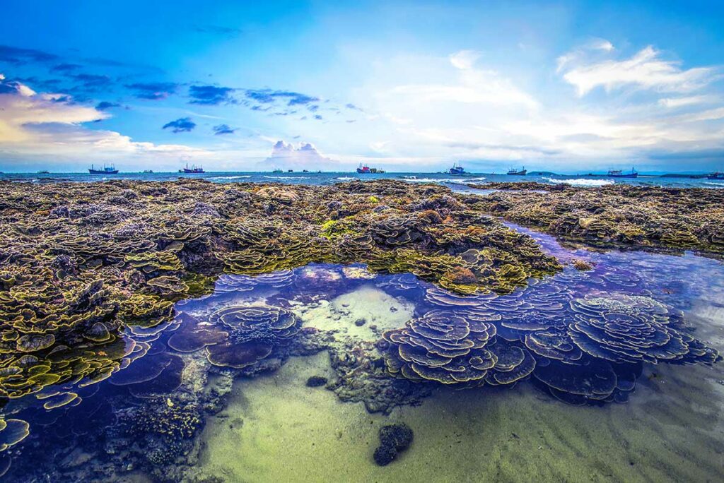 Koraalplaten zichtbaar bij laagwater op het eiland Hon Yen in Phu Yen, met vissersschepen op de achtergrond en een kleurrijke lucht — het koraalrif is alleen te zien tijdens de laagwaterperiode