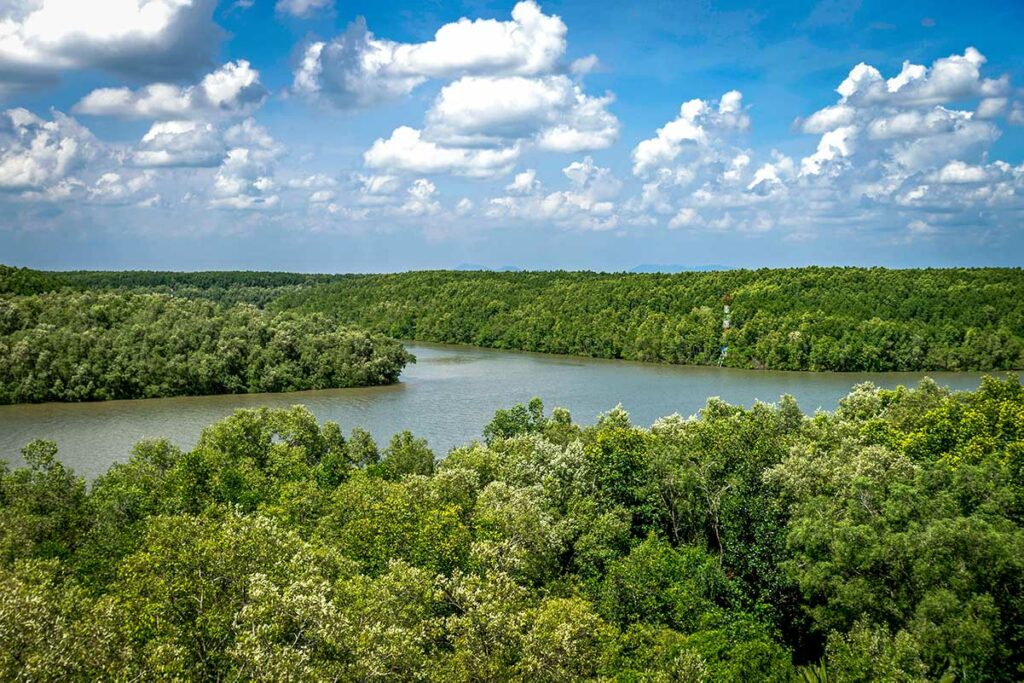 Panoramisch uitzicht over het Can Gio reservaat vanuit de hoogte, met een brede rivier die zich slingert door een aaneengesloten groen mangrovebos onder een bewolkte lucht — het reservaat beslaat meer dan 75.000 hectare en is het grootste mangrovegebied in de omgeving van Ho Chi Minh City