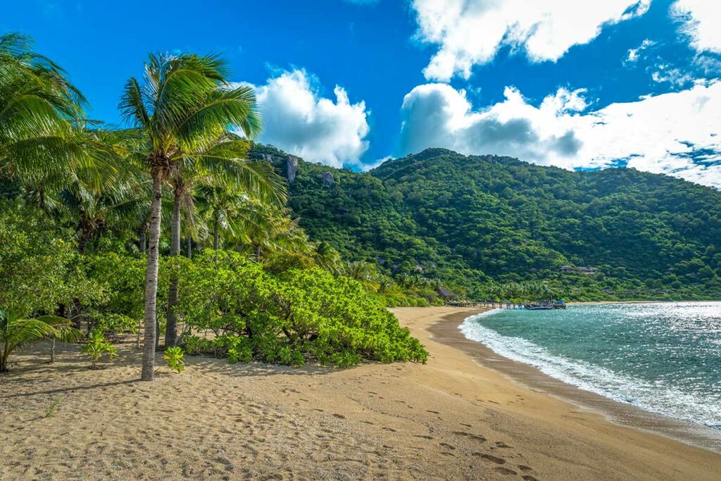 Goudgeel strand van Ninh Van Bay met palmbomen, een houten steiger en boten aangemeerd voor een resort verscholen in de jungle — alleen bereikbaar per boot vanuit Nha Trang