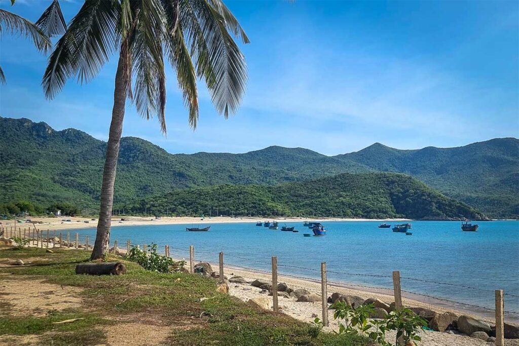 Strand van Ninh Van met een palmboom op de voorgrond, visserboten in de rustige baai en weelderige groene heuvels op de achtergrond — het vissersdorp ligt geïsoleerd aan de rand van de baai