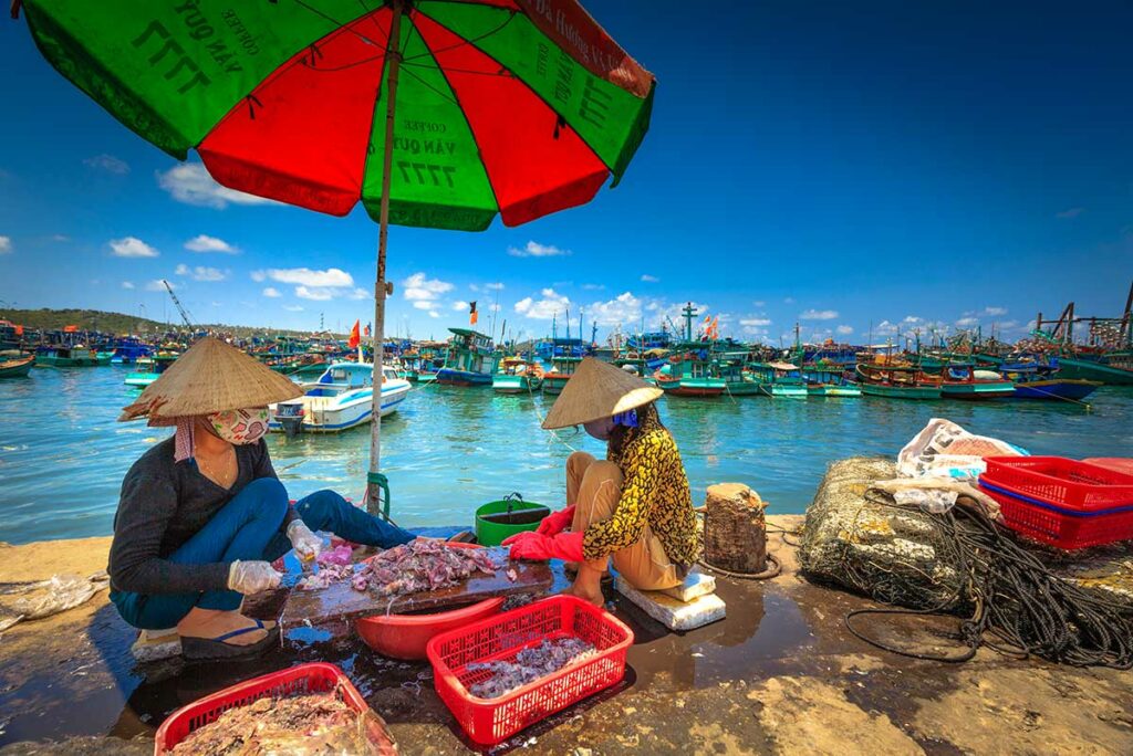 Twee Vietnamezen verwerken verse zeevruchten op de kade van de vissershaven van Phu Quoc, met tientallen kleurrijke visserboten op de achtergrond — een authentiek beeld dat het hele jaar door te zien is op het eiland