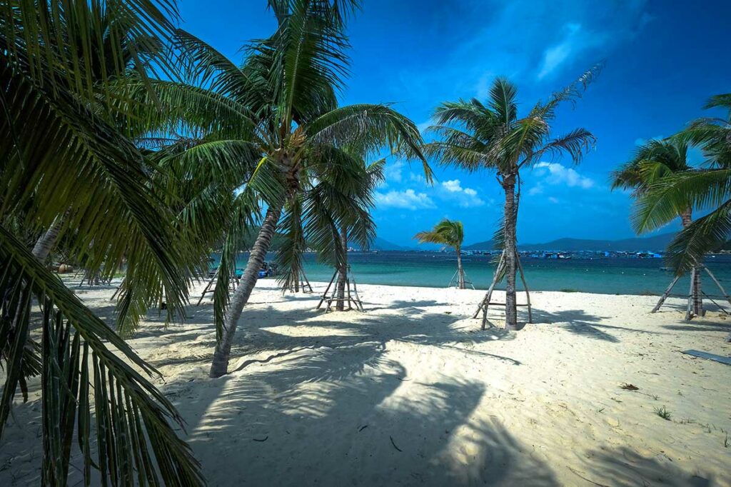 Wit zandstrand op Son Dung in de Van Phong Bay met palmbomen en een blauwe lucht — een rustig en weinig bezocht strand aan de rand van de baai
