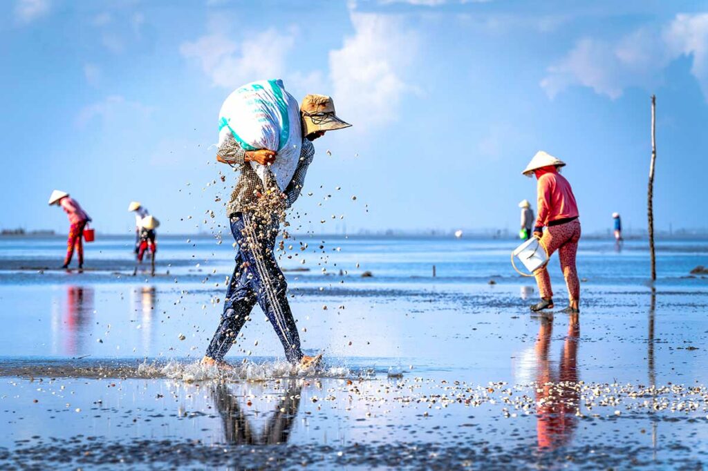 Lokale bewoners verzamelen schelpen en schelpdieren op het wad bij eb langs het strand van Can Gio, met Vietnamese conische hoeden en kleurrijke emmers — het strand van Can Gio is eerder een werkstrand voor vissers dan een toeristenatractie