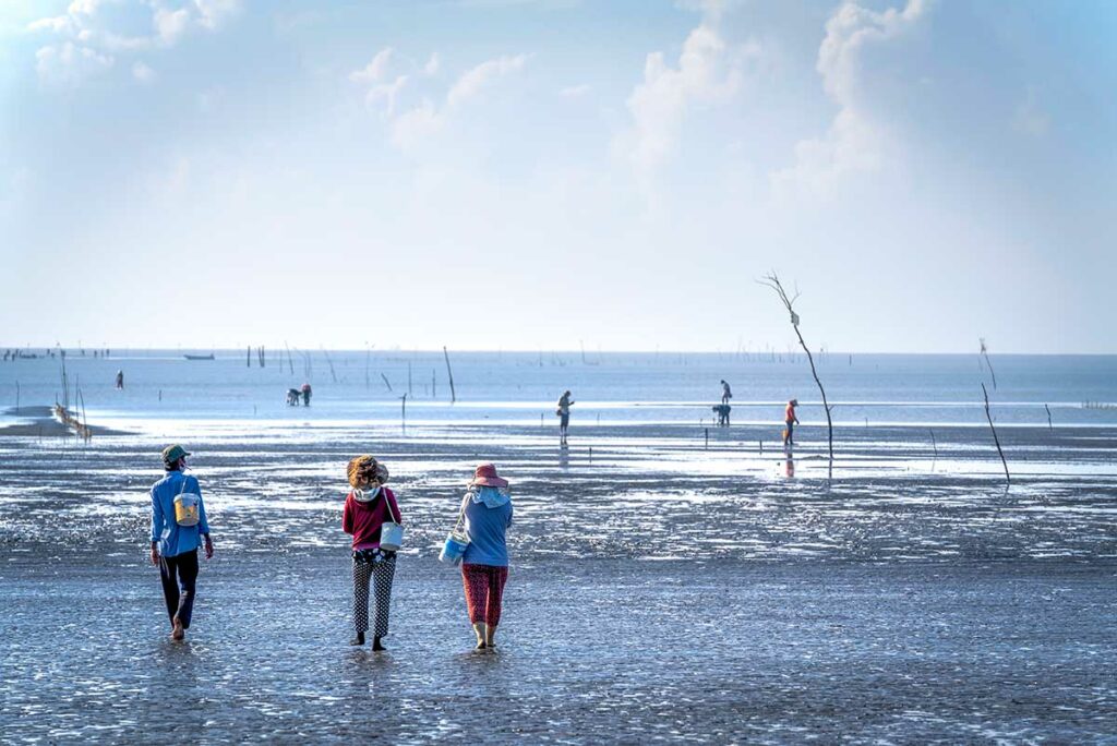 Drie lokale vrouwen lopen bij eb het wad op aan het strand van Can Gio, met emmers en rugzakjes voor de dagelijkse oogst van schelpdieren — het brede wad bij laagwater is een kenmerkend beeld van het Can Gio kustgebied