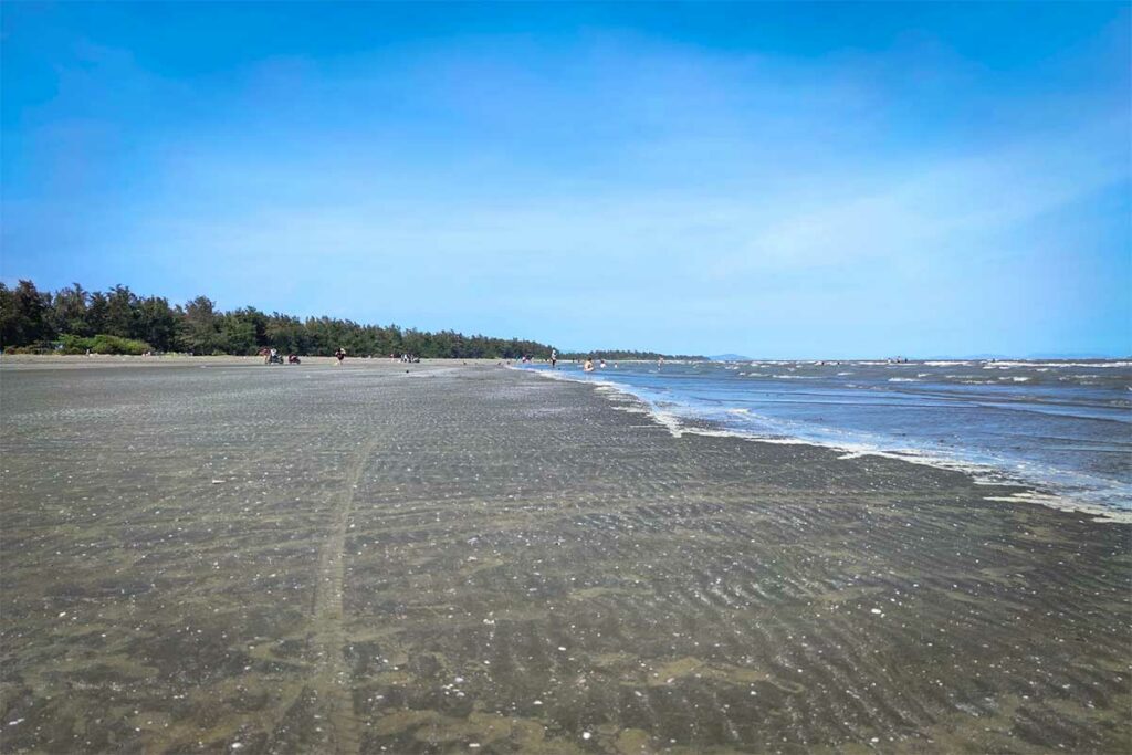 Breed en vlak strand van Can Gio bij laagwater met een lange vloedlijn, enkele badgasten in de verte en een dicht groen woud langs de kustlijn — het strand is geen wit zandstrand maar heeft een donkerder, mineraalrijke ondergrond