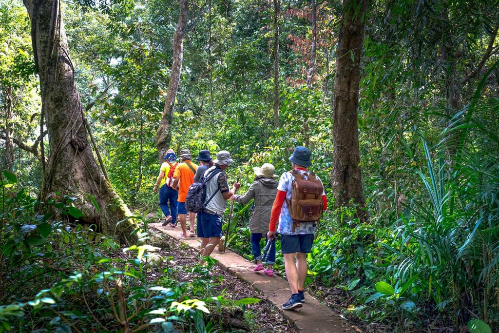 Groep reizigers wandelt op een smal pad door het oerwoud in Vietnam, op het pad blijven is een belangrijk onderdeel van verantwoord reizen in de natuur van Vietnam