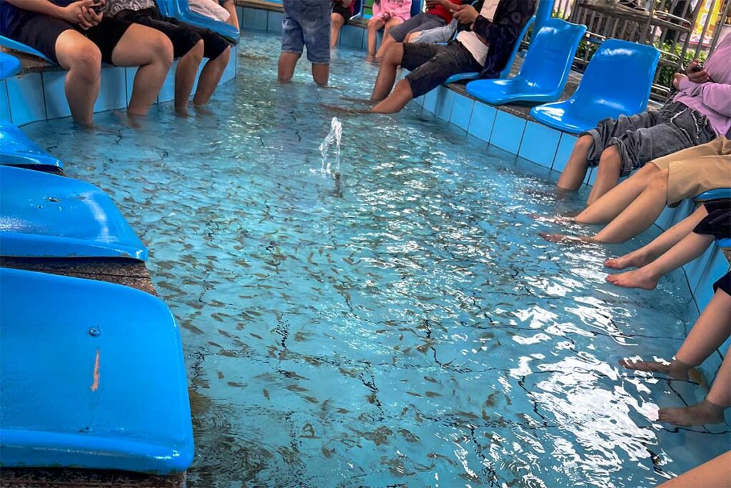 Groep mensen met blote voeten in een blauw visbassin voor een vismassage in Vietnam, waarbij kleine visjes de voeten reinigen