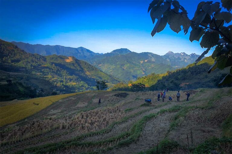 Dorpsbewoners op geoogste rijstterrassen bij Khuoi Khon in de bergen boven Bao Lac, Cao Bang