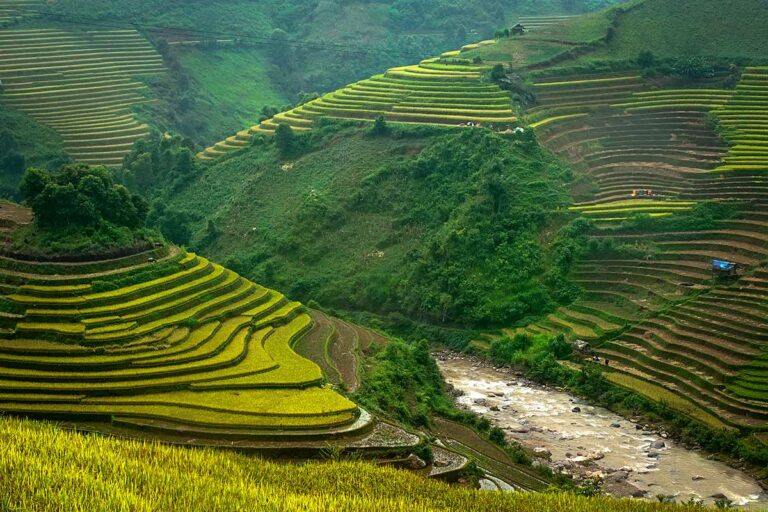 Rijstterrassen langs een bergrivier met veldhuisjes bij Che Cu Nha in Mu Cang Chai, Yen Bai