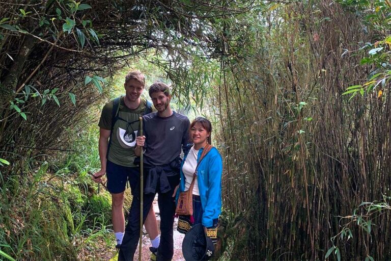 Drie wandelaars met stokken poseren in het bamboebos op de route naar de Fansipan.