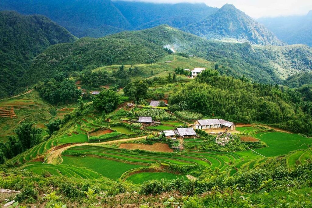 Uitzicht over groene rijstterrassen en verspreide huizen rond Lao Chai, provincie Lao Cai.