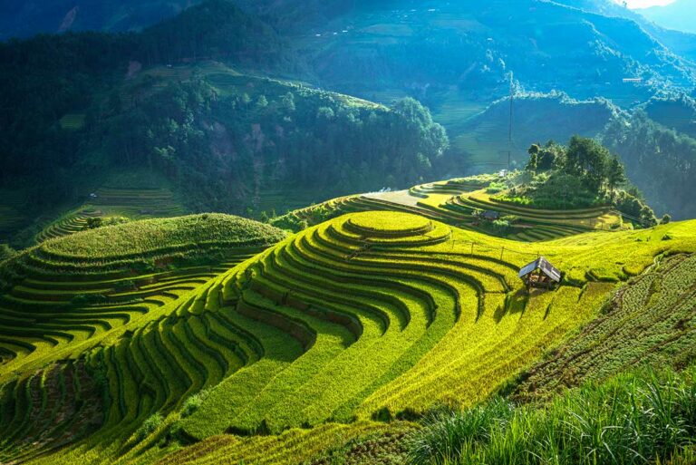 Ronde rijstterrassen van Mam Xoi heuvel met veldhuisje in het middaglicht, Mu Cang Chai