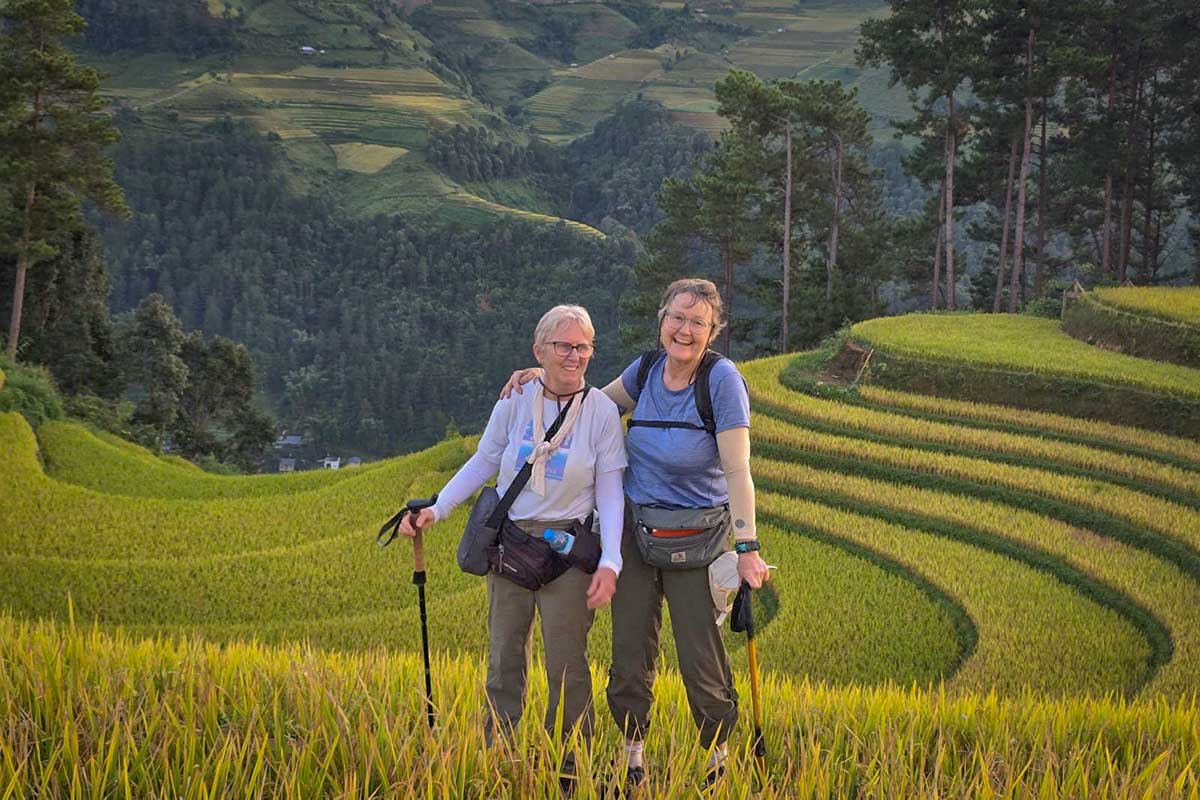 Twee wandelaars met wandelstokken tussen de goudgele rijstterrassen van Mu Cang Chai in het oogstseizoen
