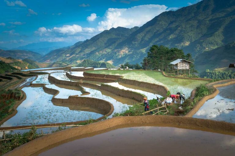Boeren planten rijst op ondergelopen terrassen in Sang Nhu onder een blauwe lucht, Mu Cang Chai
