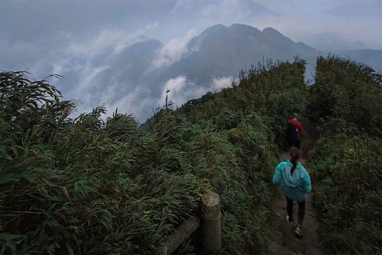 Twee klimmers lopen bij dageraad over een bergpad langs bamboe, met wolken tussen de toppen.
