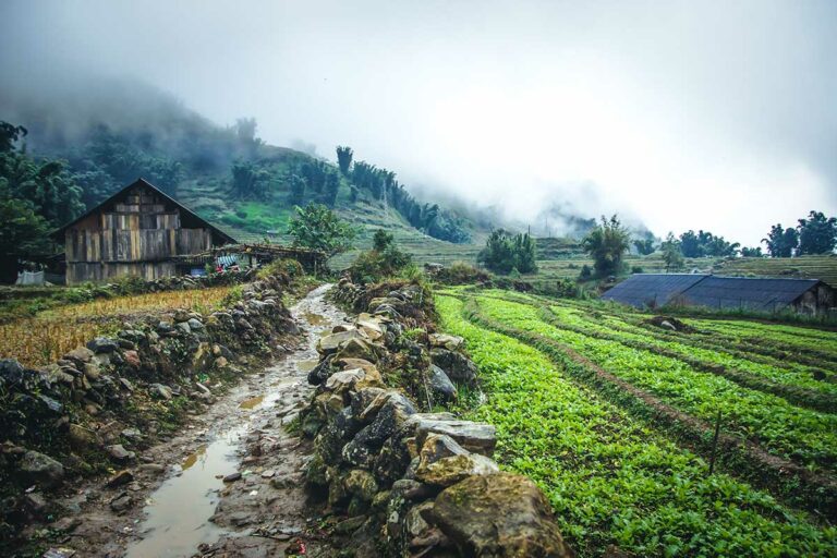 Modderig stenen wandelpad langs groentevelden en een houten huis in de mist bij Sapa.