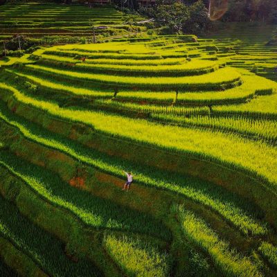 Luchtfoto van groene rijstterrassen in Pu Luong Nature Reserve, met golvende akkers, berglandschap en dorpen in Noord-Vietnam