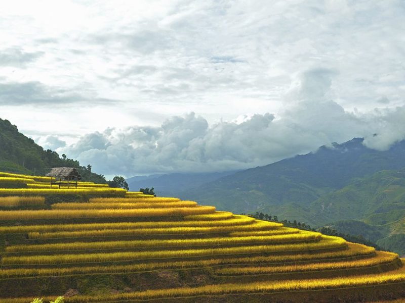 Lao Chai trekking Sapa