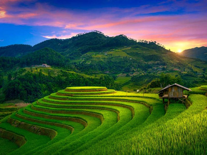 Groene rijstterrassen met houten veldhuisje bij zonsondergang op Mam Xoi heuvel in Mu Cang Chai