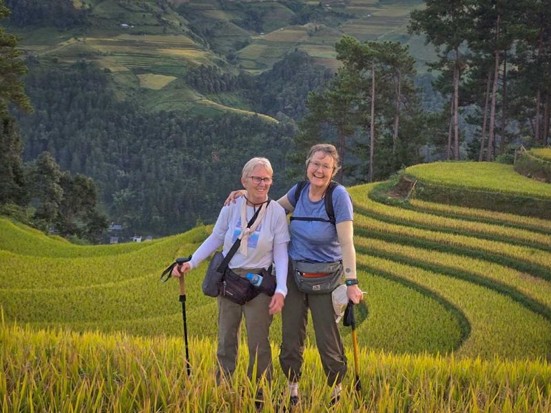 Twee wandelaars met wandelstokken tussen de goudgele rijstterrassen van Mu Cang Chai in het oogstseizoen