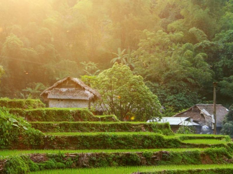 Sapa homestay trekking