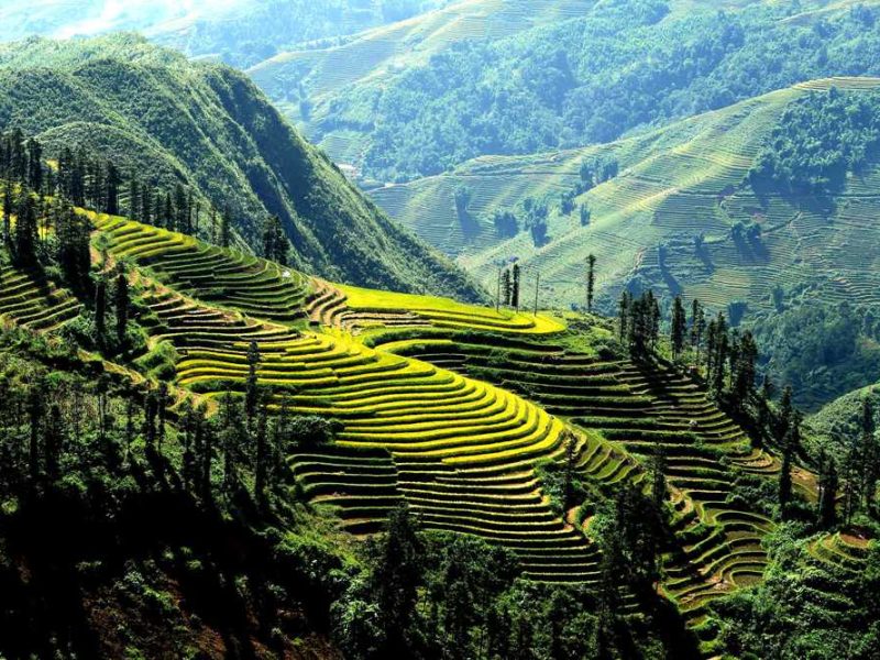 Sapa - Lao Chai - Ta Van