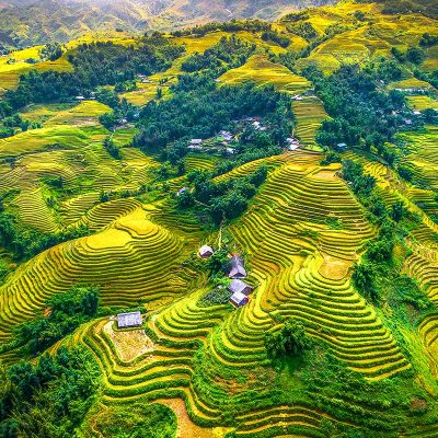 sapa-rijstvelden-1.jpg