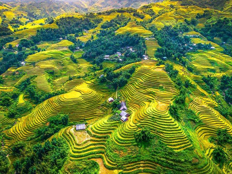 sapa-rijstvelden-1.jpg