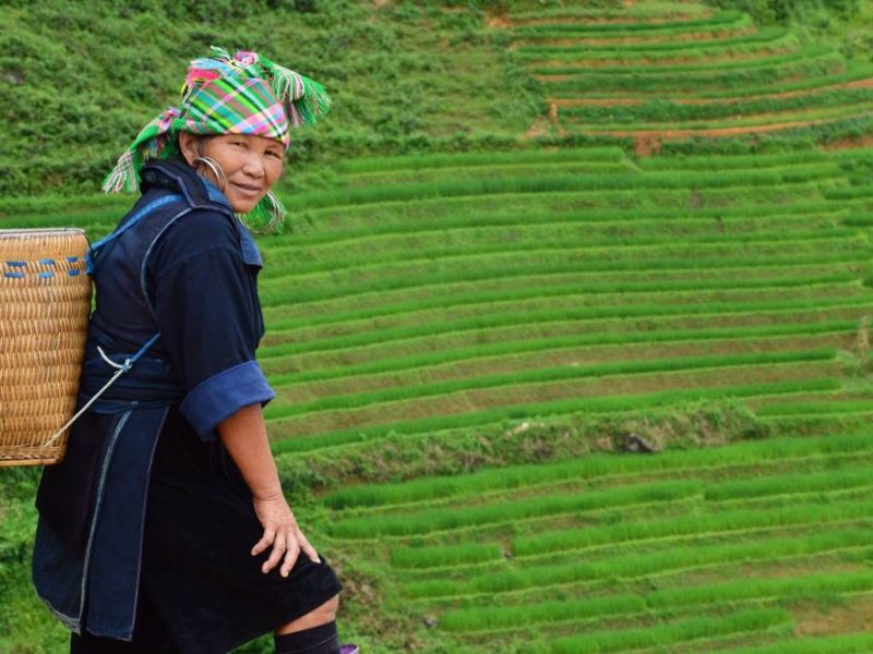 Sapa trekking