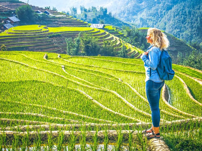 trekking in Sapa door rijstvelden