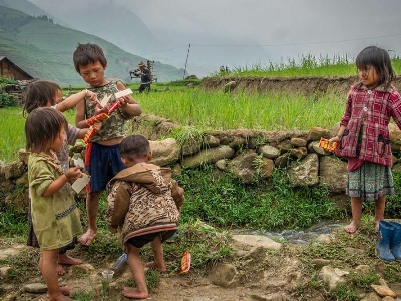 Sapa trekking