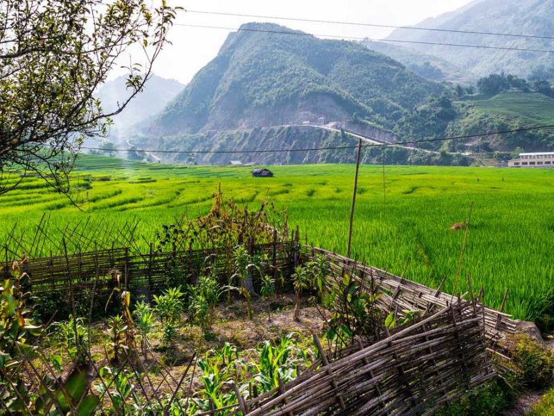 Sapa trekking
