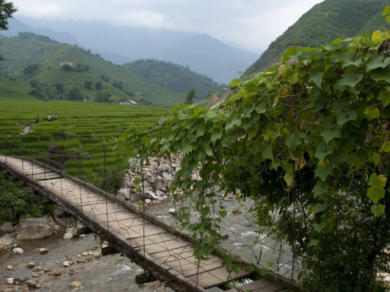 Ta Van trekking Sapa