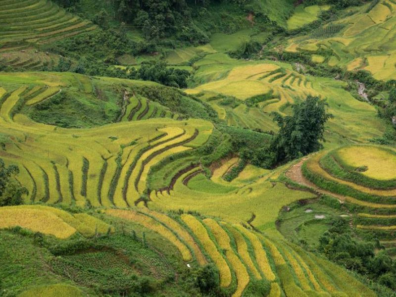 Ta Van trekking Sapa
