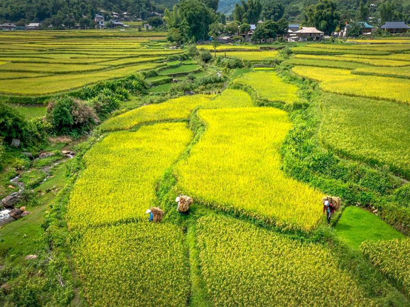 tu le valley yen bai 1